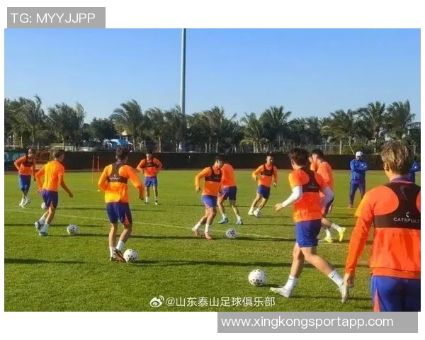 鲁媒报道泰山队定于1月3日集结并于7日南下海口开展冬训首阶段